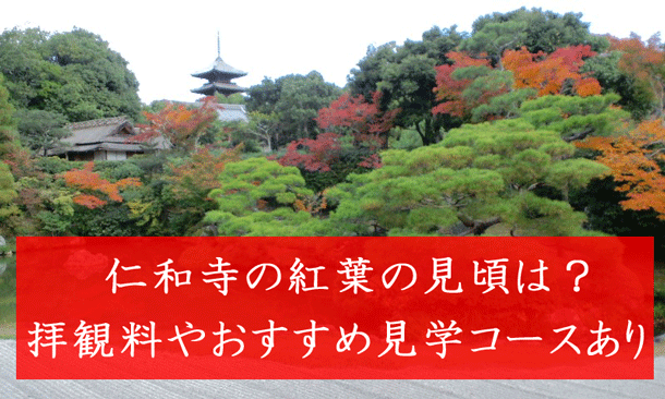 仁和寺紅葉