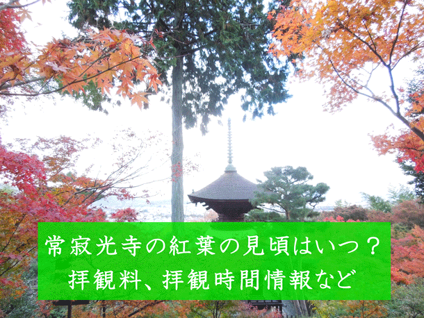 常寂光寺の紅葉