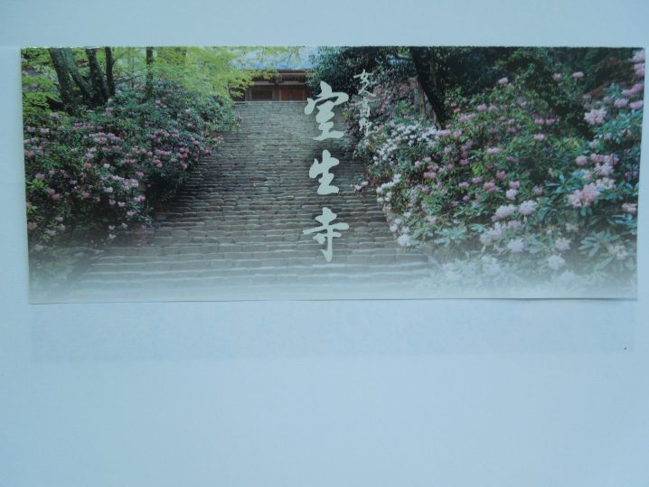 室生寺の石楠花(シャクナゲ)