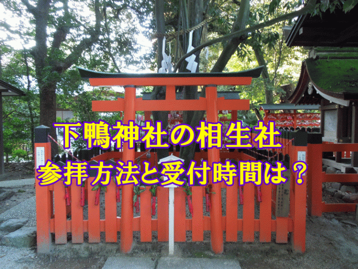 下鴨神社相生社アイキャッチ
