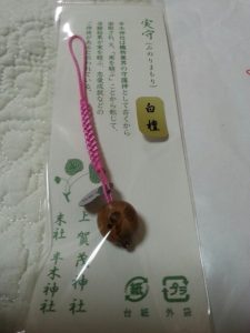 実守
