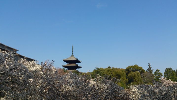 仁和寺