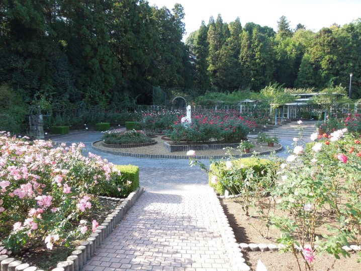 奈良・霊山寺バラ庭園
