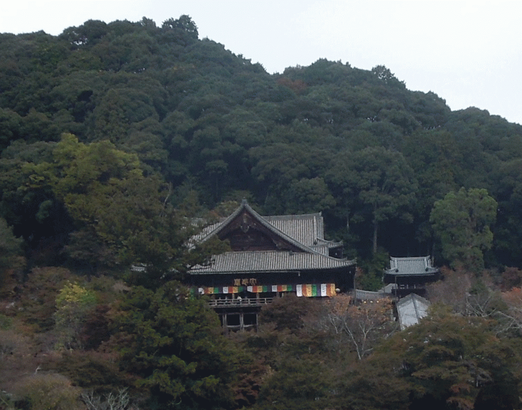 懸造の長谷寺本堂