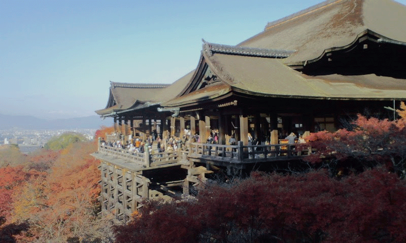 懸造の清水寺本堂