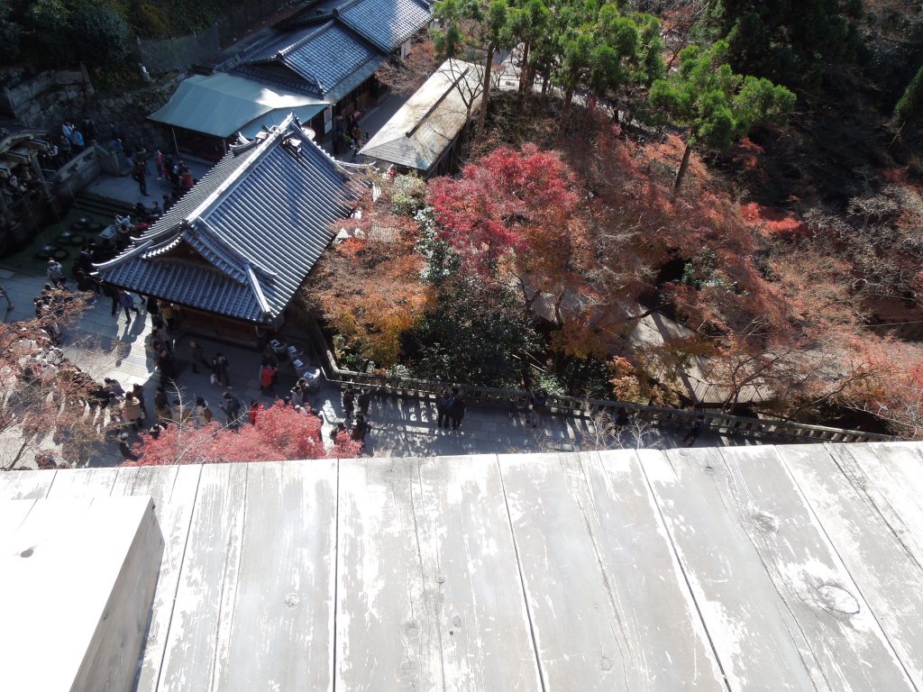 清水の舞台から地上を臨む