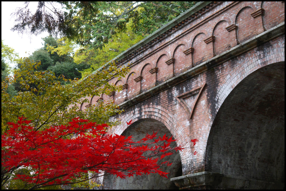 南禅寺水路閣周辺の紅葉