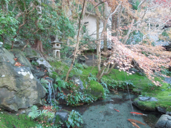 瑠璃光院の池