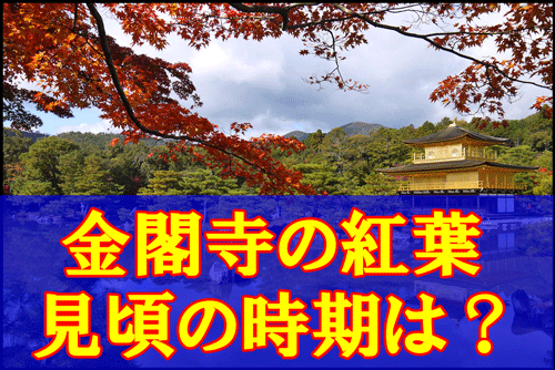 金閣寺の紅葉の見頃時期と現在の状況・混雑とライトアップの時間のアイキャッチ画像