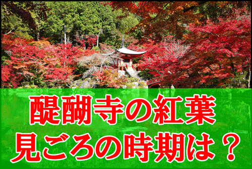 醍醐寺の紅葉の見ごろ時期と現在の状況・混雑とライトアップの所要時間のアイキャッチ画像