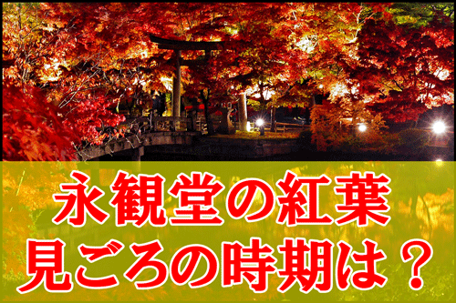 永観堂の紅葉の見ごろ時期と現在の状況・ライトアップの所要時間と混雑のアイキャッチ画像