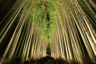嵐山花灯路の竹林の道