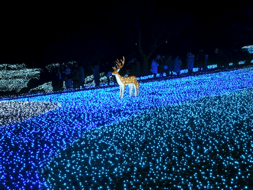 奈良瑠璃絵の鹿アイキャッチ画像