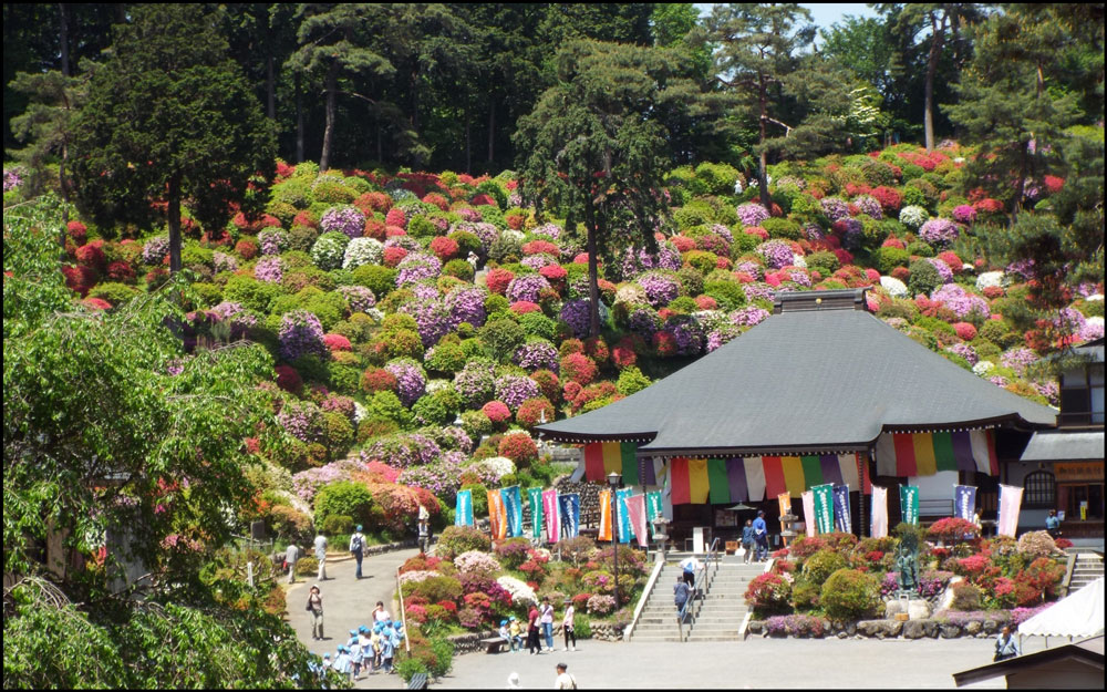 東京都のつつじ名所の寺や神社は の開花情報や見頃時期 まったりと和風