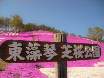 東藻琴芝桜公園