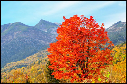 乗鞍岳の紅葉のアイキャッチ画像