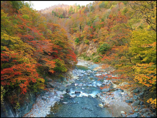 秋山郷の紅葉のアイキャッチ画像